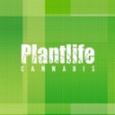 Plantlife Cannabis company logo
