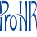 PRO HR STAFFING company logo