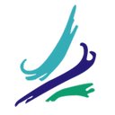 Ambulantes Reha-Zentrum Riesa GmbH company logo