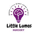 Little Lumos Nursery company logo