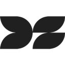 DataSpring company logo
