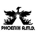Phoenix A.M.D. International Inc. company logo