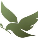 Olive Dental Care, Newmarket, Suffolk company logo