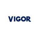 Vigor Alimentos company logo