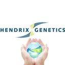 Hendrix　Genetics　Layers　Japan合同会社 company logo