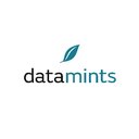 datamints GmbH company logo