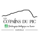 Les Co'pains Du Pic company logo