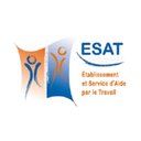ESAT company logo