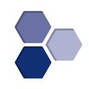 MSI Recruitment company logo