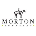 Morton Subastas SA de CV. Ciudad de México company logo