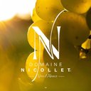 EARL NICOLLET company logo