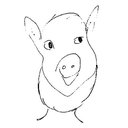 Ironwood Pig Sanctuary company logo