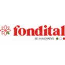 Fondital S.p.a. company logo
