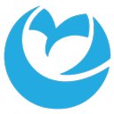 Geo Owl company logo