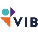 VIB company logo