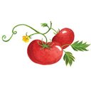 Peaceful Valley Farm & Garden Supply company logo
