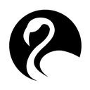 Flamingo Lashes & Brows company logo