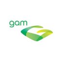 GAMSA company logo