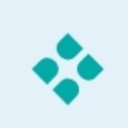 Bodyset company logo