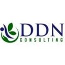 DDN Consulting Services company logo
