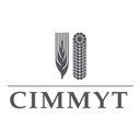 CIMMYT company logo