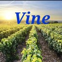 The vine company logo