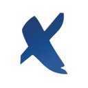Project X company logo