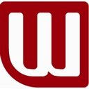 WYN Consultants company logo