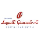 Sangalli company logo