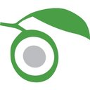 LIMESTONE LEARNING company logo