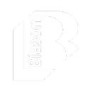 BIASON company logo