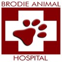 Brodie Animal Hospital company logo