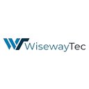 WisewayTec company logo