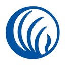 NAMI (National Alliance on Mental Illness) company logo
