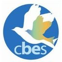 Central Boston Elder Services Inc company logo