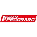 Grupo Pegoraro company logo