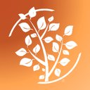 Elmwood Healthcare company logo