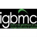 IGBMC company logo