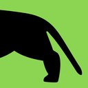 Windy City Dog Walkers company logo