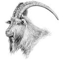 The Goat Inn company logo