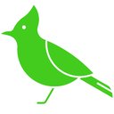 Green Jay Recruitment, LLC company logo