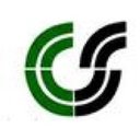 Chemical South Transport, Inc. company logo