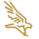 Falcons Landing company logo