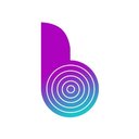 Binary Semantics company logo