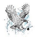 Les Systèmes d'eau Eagle Rive-Sud Inc. company logo