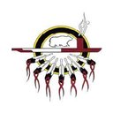 ANISHNAWBE HEALTH TORONTO company logo
