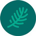 Avondale care company logo