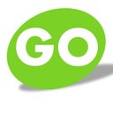 GO Vehicle Services company logo