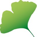 MSP bodmann GmbH company logo