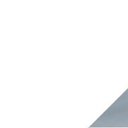 NEPTRONIC company logo